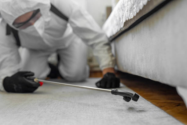 Professional Pest Control technician working in Osakis, MN